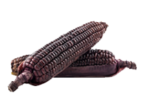 Purple corn color